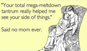 total-mega-meltdown-quote
