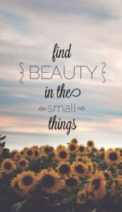 find-beauty